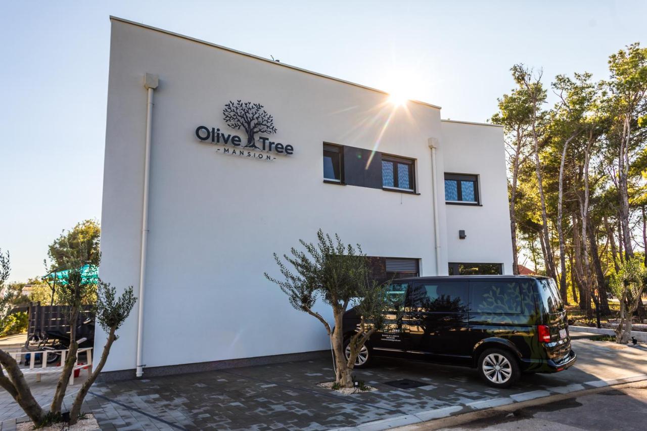 비르 Olive Tree Mansion 아파트 외부 사진